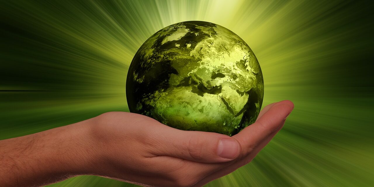 Comment faire du business écologique ?