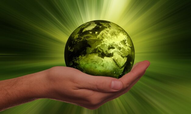Comment faire du business écologique ?