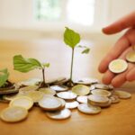 Optimiser la trésorerie des PME : stratégies clés pour une gestion efficace