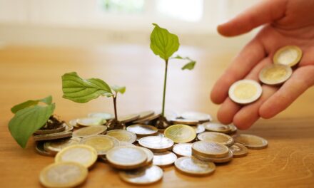 Optimiser la trésorerie des PME : stratégies clés pour une gestion efficace
